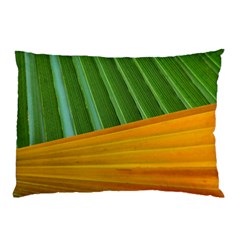 Pattern Colorful Palm Leaves Pillow Case