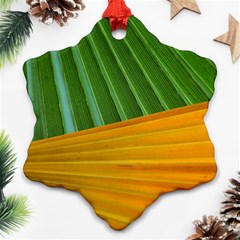 Pattern Colorful Palm Leaves Ornament (snowflake)