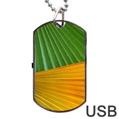 Pattern Colorful Palm Leaves Dog Tag Usb Flash (one Side)