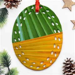 Pattern Colorful Palm Leaves Ornament (oval Filigree)