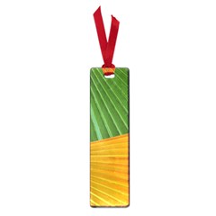 Pattern Colorful Palm Leaves Small Book Marks