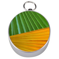 Pattern Colorful Palm Leaves Silver Compasses