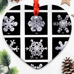 Snowflakes Exemplifies Emergence In A Physical System Ornament (heart)