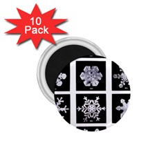 Snowflakes Exemplifies Emergence In A Physical System 1 75  Magnets (10 Pack)  by Amaryn4rt