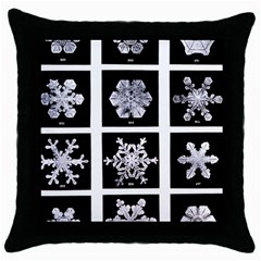 Snowflakes Exemplifies Emergence In A Physical System Throw Pillow Case (black) by Amaryn4rt