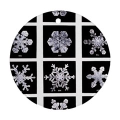 Snowflakes Exemplifies Emergence In A Physical System Round Ornament (two Sides) by Amaryn4rt