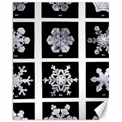 Snowflakes Exemplifies Emergence In A Physical System Canvas 16  X 20   by Amaryn4rt