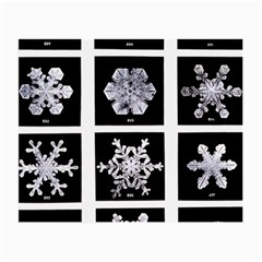 Snowflakes Exemplifies Emergence In A Physical System Small Glasses Cloth (2-side) by Amaryn4rt