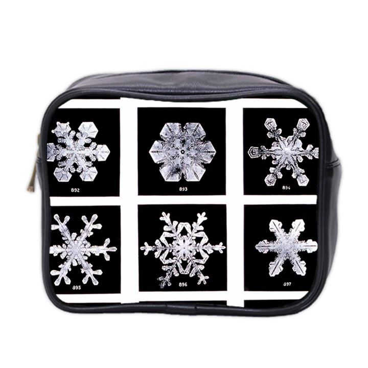 Snowflakes Exemplifies Emergence In A Physical System Mini Toiletries Bag 2-Side