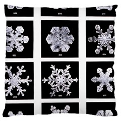 Snowflakes Exemplifies Emergence In A Physical System Large Cushion Case (two Sides) by Amaryn4rt