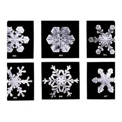 Snowflakes Exemplifies Emergence In A Physical System Double Sided Flano Blanket (mini)  by Amaryn4rt