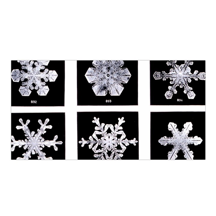 Snowflakes Exemplifies Emergence In A Physical System Satin Shawl