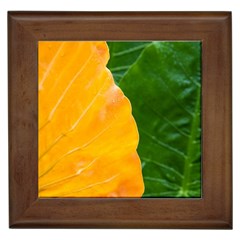 Wet Yellow And Green Leaves Abstract Pattern Framed Tiles by Amaryn4rt