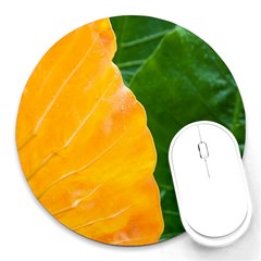 Wet Yellow And Green Leaves Abstract Pattern Round Mousepads by Amaryn4rt