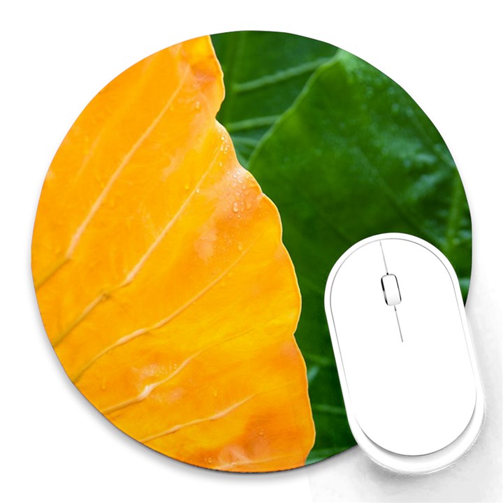 Wet Yellow And Green Leaves Abstract Pattern Round Mousepads