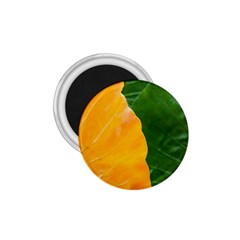 Wet Yellow And Green Leaves Abstract Pattern 1 75  Magnets by Amaryn4rt