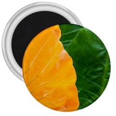 Wet Yellow And Green Leaves Abstract Pattern 3  Magnets by Amaryn4rt