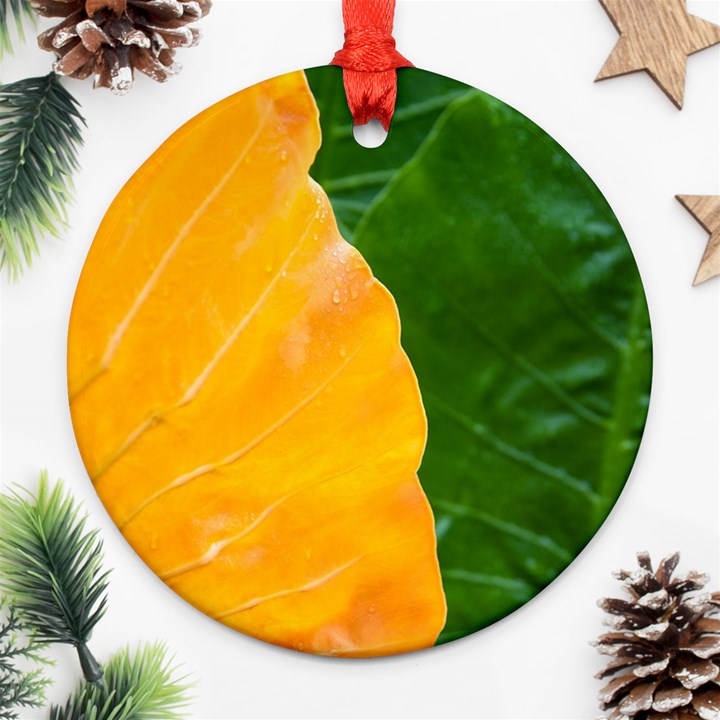 Wet Yellow And Green Leaves Abstract Pattern Ornament (Round)