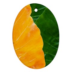 Wet Yellow And Green Leaves Abstract Pattern Ornament (oval) by Amaryn4rt