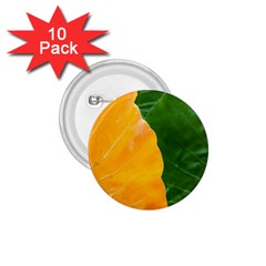 Wet Yellow And Green Leaves Abstract Pattern 1 75  Buttons (10 Pack) by Amaryn4rt