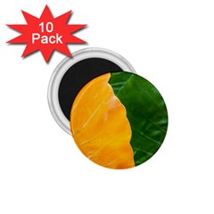 Wet Yellow And Green Leaves Abstract Pattern 1 75  Magnets (10 Pack)  by Amaryn4rt