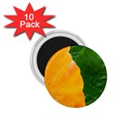 Wet Yellow And Green Leaves Abstract Pattern 1.75  Magnets (10 pack)  Front