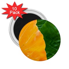 Wet Yellow And Green Leaves Abstract Pattern 2 25  Magnets (10 Pack)  by Amaryn4rt