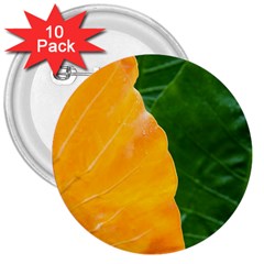 Wet Yellow And Green Leaves Abstract Pattern 3  Buttons (10 Pack) 