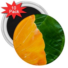 Wet Yellow And Green Leaves Abstract Pattern 3  Magnets (10 Pack)  by Amaryn4rt