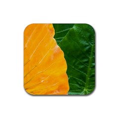 Wet Yellow And Green Leaves Abstract Pattern Rubber Coaster (square)  by Amaryn4rt