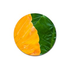 Wet Yellow And Green Leaves Abstract Pattern Magnet 3  (round) by Amaryn4rt