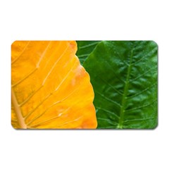 Wet Yellow And Green Leaves Abstract Pattern Magnet (rectangular) by Amaryn4rt