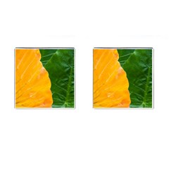 Wet Yellow And Green Leaves Abstract Pattern Cufflinks (square) by Amaryn4rt