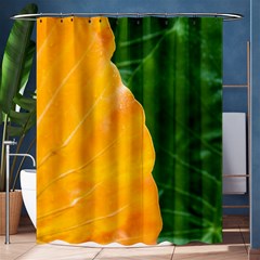 Wet Yellow And Green Leaves Abstract Pattern Shower Curtain 60  X 72  (medium)  by Amaryn4rt