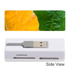 Wet Yellow And Green Leaves Abstract Pattern Memory Card Reader (stick)  by Amaryn4rt