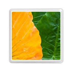 Wet Yellow And Green Leaves Abstract Pattern Memory Card Reader (square)  by Amaryn4rt