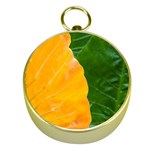 Wet Yellow And Green Leaves Abstract Pattern Gold Compasses Front