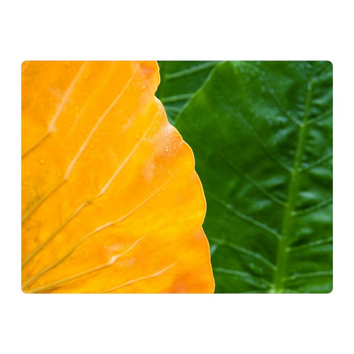 Wet Yellow And Green Leaves Abstract Pattern Double Sided Flano Blanket (Mini) 