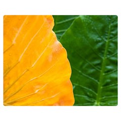 Wet Yellow And Green Leaves Abstract Pattern Double Sided Flano Blanket (medium)  by Amaryn4rt