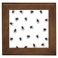 Flies Framed Tiles