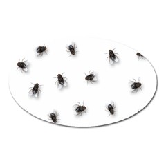 Flies Oval Magnet by Valentinaart