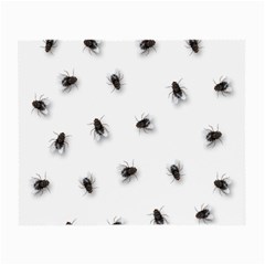 Flies Small Glasses Cloth