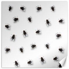 Flies Canvas 20  X 20  