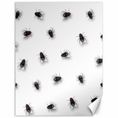 Flies Canvas 18  X 24  