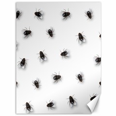 Flies Canvas 36  X 48  