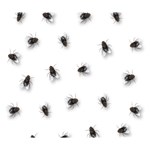 Flies Deluxe Canvas 14  x 11  14  x 11  x 1.5  Stretched Canvas