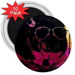 Maggie Chinchillin Version 2 3  Magnets (10 Pack) 