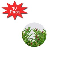 Tropical Floral Print 1  Mini Buttons (10 Pack)  by dflcprints