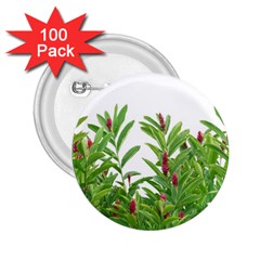 Tropical Floral Print 2 25  Buttons (100 Pack) 