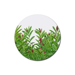 Tropical Floral Print Rubber Coaster (round)  by dflcprints